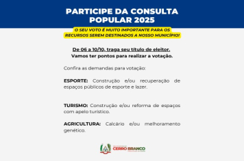 CONSULTA POPULAR 2025