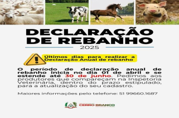 DECLARAÇÃO DE REBANHO 2025