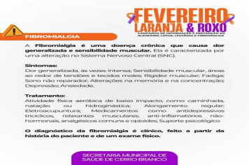 FEVEREIRO LARANJA E ROXO