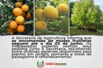 Secretaria de Agricultura de Cerro Branco informa que está recebendo encomendas de mudas frutíferas e ornamentais