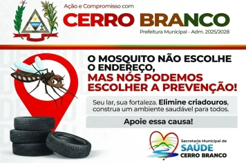Combate ao Mosquito