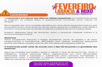 FEVEREIRO LARANJA E ROXO