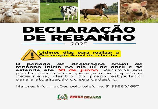 DECLARAÇÃO DE REBANHO 2025